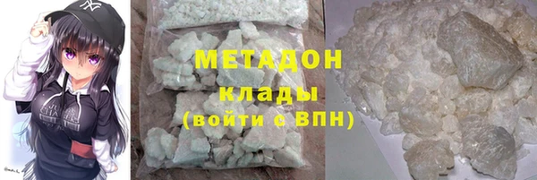 прущие грибы Костерёво