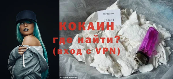 трава Коряжма