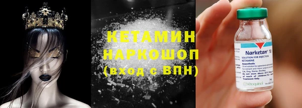 трава Коряжма