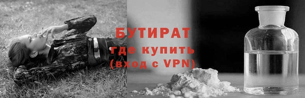 прущие грибы Костерёво