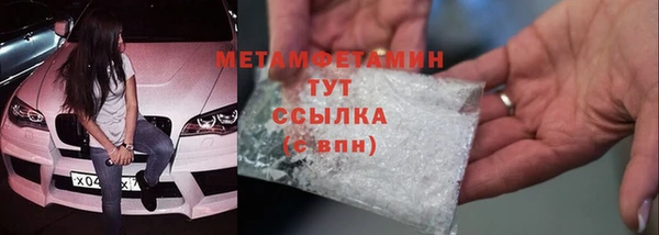 прущие грибы Костерёво