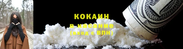 трава Коряжма