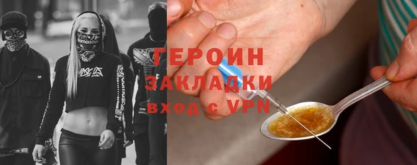 трава Коряжма