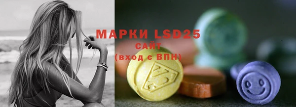 прущие грибы Костерёво