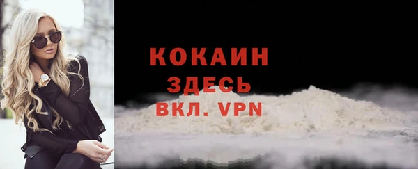 прущие грибы Костерёво