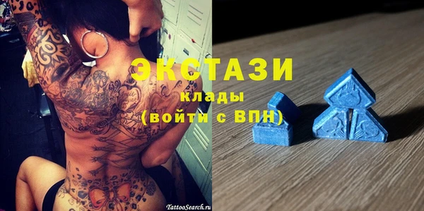 трава Коряжма