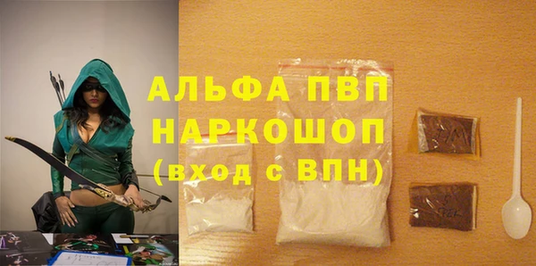 трава Коряжма