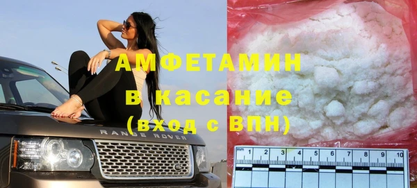 прущие грибы Костерёво
