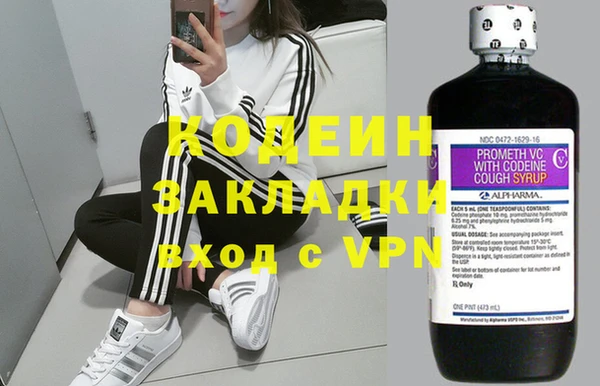 трава Коряжма