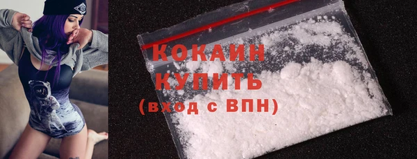 трава Коряжма