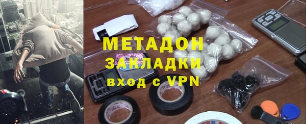 прущие грибы Костерёво