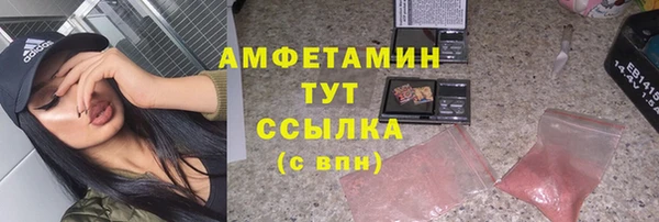 прущие грибы Костерёво